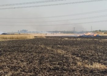 क्रूर हुए अग्निदेव ने हजारों एकड़ में लगी फसलों को निगला,खून की आंसू रोने को विवश हुए किसान*