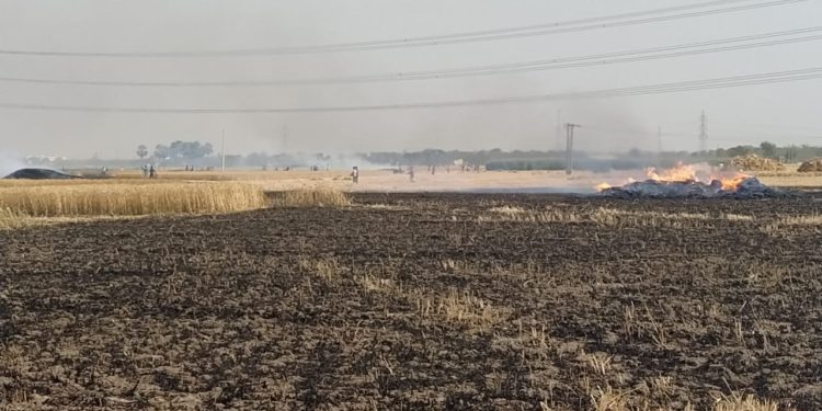 क्रूर हुए अग्निदेव ने हजारों एकड़ में लगी फसलों को निगला,खून की आंसू रोने को विवश हुए किसान*