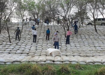 *मानसून के दस्तक पूर्व डीएम ने तेमथा करारी और लगार जमींदारी बांधों का किया निरीक्षण,कटाव निरोधी कार्य ससमय पूरा करने का निर्देश किया जारी*