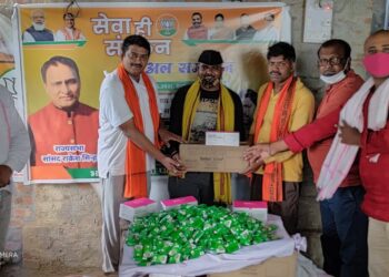 राज्यसभा सांसद राकेश सिन्हा ने विपक्ष को कोसते हुए आखिर क्यों कहा कि भाजपा के तमाम कार्यकर्ता जनता की सेवा में जुटे रहें!*