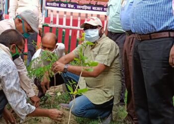 पर्यावरण संतुलित रखने को ले वृक्षारोपण जरुरी: मनोज