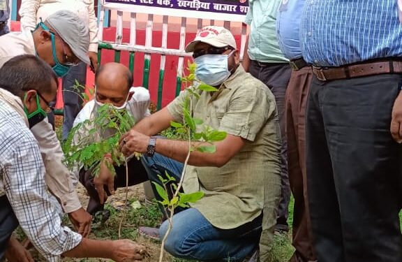 पर्यावरण संतुलित रखने को ले वृक्षारोपण जरुरी: मनोज