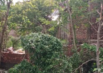 बेलदौर में आखिर कब तक होता रहेगा भूमि विवाद!सिकंदर शर्मा ने पड़ोसी पर लगाया अपनी रैयती जमीन पर घर बनाने का आरोप,कहा-पुत्र ने किया विरोध,तो जान से मारने की मिली धमकी