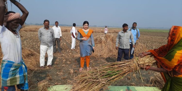भगोड़े कृषि समन्वयक एवं प्रखंड कृषि पदाधिकारी पर गिरी गाज,डीडीसी ने खेतों में पुआल जलाने वाले किसानों को कृषि विभाग की योजनाओं से वंचित रखने सहित अन्य निर्देश भी किया जारी