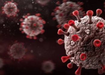 लखनऊ के कमिश्नर कोरोना पॉजिटिव, प्रधानमंत्री नरेन्द्र मोदी के दौरे से पहले कराया गया था टेस्ट