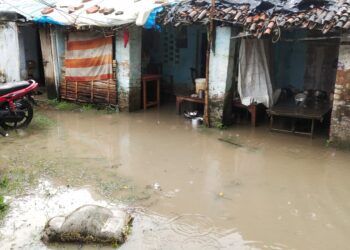 सांपों की फुफकार के बीच आखिर कैसे होगी थानेदारी! रहना-सोना भी हुआ दुश्वार