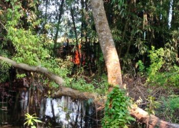 युवती की संदेहास्पद अवस्था में मौत के बाद गोतिया ने शव को घर के पिछवाड़े ही बांस बिट्टी में घासलेट डालकर आनन-फानन में फूंका, माता पिता की गैर मौजूदगी में धू-धूकर जलती रही लाश,पुलिस बनी रही तमाशबीन