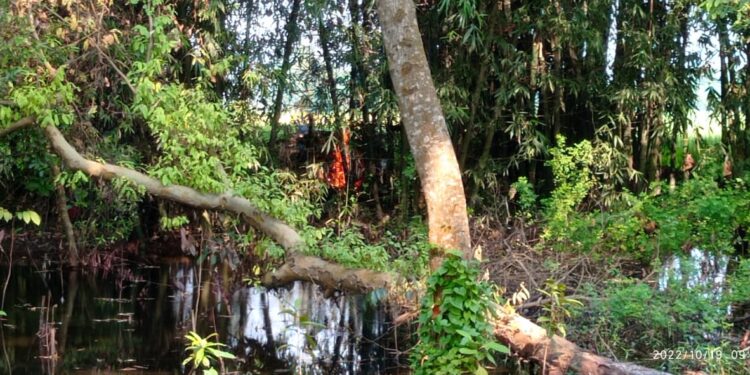 युवती की संदेहास्पद अवस्था में मौत के बाद गोतिया ने शव को घर के पिछवाड़े ही बांस बिट्टी में घासलेट डालकर आनन-फानन में फूंका, माता पिता की गैर मौजूदगी में धू-धूकर जलती रही लाश,पुलिस बनी रही तमाशबीन