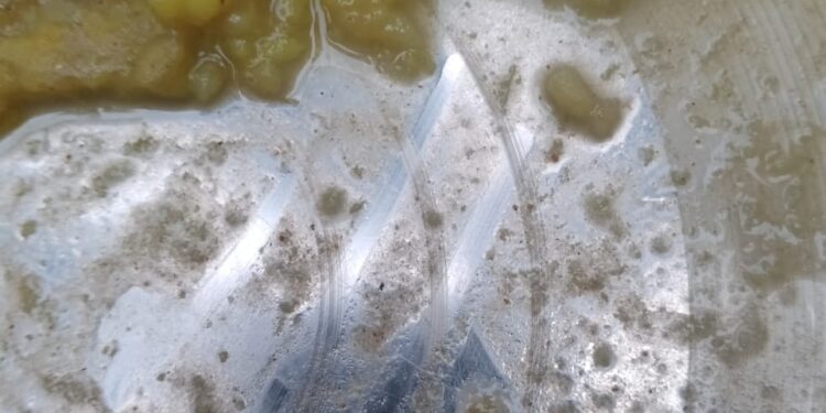 …और तीसरी बार आदर्श मध्य विद्यालय में अध्यनरत बच्चों के सामने परोस दिया गया खिचड़ी के साथ पिल्लू, बच्चों ने बीडीओ को सुनाई व्यथा-कथा,मिला कार्रवाई का आश्वासन