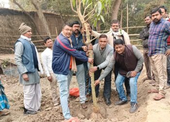 पसराहा में वृक्षारोपण कर नव वर्ष का किया अभिनंदन,एसबीआई के शाखा प्रबंधक अनुज कुमार मिश्रा ने कहा-एक वृक्ष सौ पुत्रों के समान