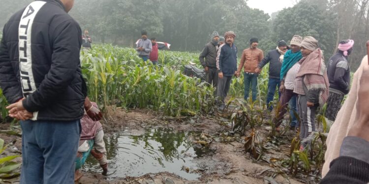 एक तरफ शातिर चोरों ने ऑयल कंपनी के पाइप लाइन से हजारों लीटर क्रूड ऑयल की कर ली चोरी, दूसरी तरफ तेल लेने को ले ग्रामीणों के बीच मची रही होड़