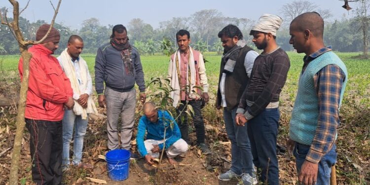 मृत्यु भोज पर विराम लगाने को ले आवाज बुलंद करते आ रहे समाजसेवी अब श्राद्धकर्म सहित अन्य अवसरों पर लोगों को पेड़ लगाने के लिए कर रहे प्रेरित,त्याग के प्रतिमूर्ति कहे जाने वाले नागेन्द्र सिंह त्यागी ने कहा-दिवंगत परिजनों की याद में जरुर लगावें पेड़