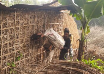 आखिर क्यों गिरफ्तार हुई नई नवेली दुल्हन!97 किलो गांजा की बरामदगी के 24 घंटे बाद भी तस्करों की गिरेबां तक नहीं पहुंच सके पुलिस के हाथ, हवालात से बाहर आकर हजामत बनवाता नजर आया तस्कर का भाई