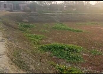 दिघोन स्थित पोखर का जीर्णोद्धार हुआ नहीं और हो गई लाखों के सरकारी राशि की लूट,जांच की उठी मांग