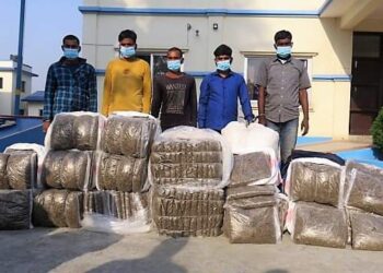नेपाल में 234 किलो गांजा के साथ चार भारतीय सहित पांच गिरफ्तार…खूब हो रही है गांजा,ब्राउन शुगर,नशीली दवाई,शराब आदि की तस्करी