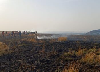 असामाजिक तत्वों द्वारा आग लगाने से दो किसानों की खेत में लगी फसलें जलकर हो गई राख