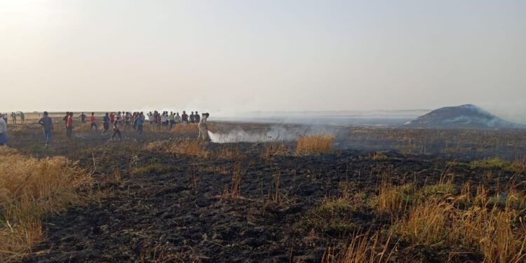असामाजिक तत्वों द्वारा आग लगाने से दो किसानों की खेत में लगी फसलें जलकर हो गई राख