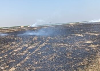 अग्निदेव का ताडंव लगातार जारी,बहियार में लगी आग,असामाजिक तत्वों द्वारा भूसा को आग के हवाले किए जाने की आशंका