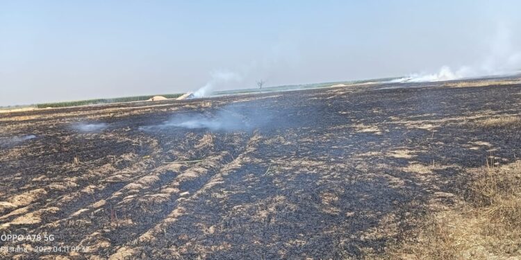 अग्निदेव का ताडंव लगातार जारी,बहियार में लगी आग,असामाजिक तत्वों द्वारा भूसा को आग के हवाले किए जाने की आशंका