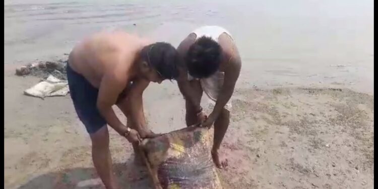 क्या परबत्ता थाना पुलिस की बड़ी लापरवाही का शिकार हो गया सूरज!गोलीबारी के मामले में जिस सूरज को तलाश रही थी पुलिस,उसकी लाश मिलने से चर्चाओं का बाजार गर्म