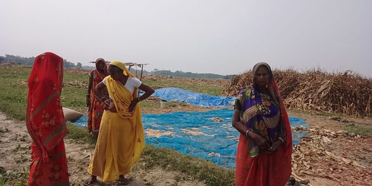 कुर्बन बहियार में मक्के की फसल तैयार कर रहे किसानों पर अपराधियों ने बरसायी गोलियां,एक ही परिवार के चार लोग गोली लगने से जख्मी,दो की हालत नाजुक