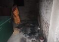क्या गोगरी के बड़ीचक में पड़ोसियों ने घर में लगायी आग!पुलिस कर रही मामले की पड़ताल,हजारों की संपत्ति नष्ट