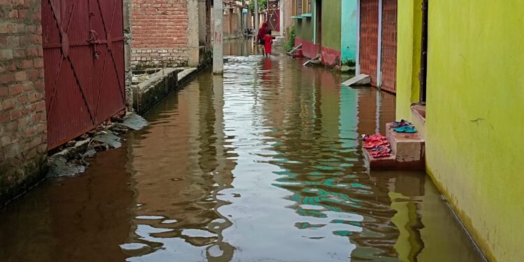 आखिर कब तक मतरसुन्न बने रहेंगे वार्ड पार्षद और कार्यपालक पदाधिकारी!नगर परिषद में तब्दील होने के बाद भी गोगरी में जल जमाव की समस्या बनी है विकराल,पानी निकासी की व्यवस्था नहीं होने से पानी भरे सड़क पर आवाजाही करना लोगों की मजबूरी