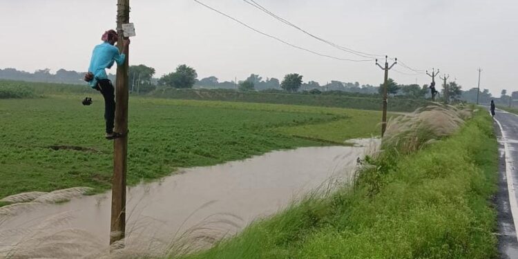 …और गोगरी सहित आसपास के लोगों को अक्सर दगा दे जाती है बिजली रानी,सोना तक हो जाता है मुहाल