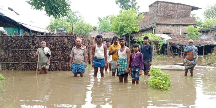 भारी बारिश के कारण एक दर्जन परिवारों का घर हुआ जलमग्न, जल निकासी की व्यवस्था नहीं रहने के कारण लोग हैं परेशान