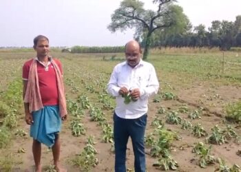 किसानों के माथे से आखिर क्यों टपकने लगा है खून का पसीना,जिला प्रशासन से की उचित मुआवजे की मांग