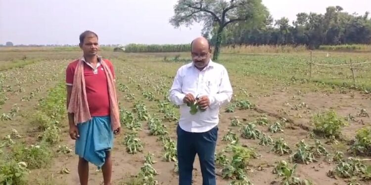 किसानों के माथे से आखिर क्यों टपकने लगा है खून का पसीना,जिला प्रशासन से की उचित मुआवजे की मांग