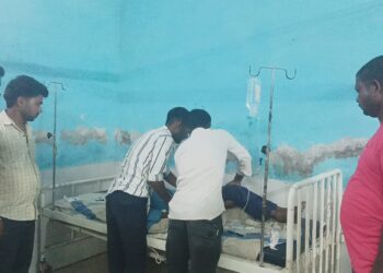 विषैले सर्प ने ली बालक की जान,परिजनों में मचा कोहराम