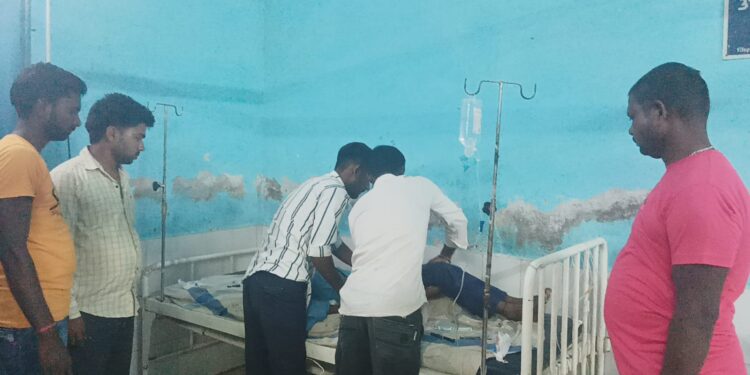 विषैले सर्प ने ली बालक की जान,परिजनों में मचा कोहराम