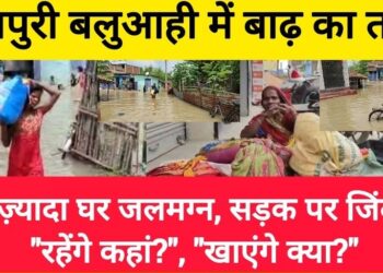 खगड़िया के बलुआही में बर्बादी का सैलाब: नदियों ने लांघा दायरा, सैकड़ों परिवार बेघर — भूख-प्यास और रतजगे में बीत रही रातें!