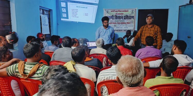 कोसी तटबंध में जायद मक्का क्रांति: 18 गांवों में किसानों की आमदनी और पशुपालन दोनों बढ़ाने वाला महा-अभियान